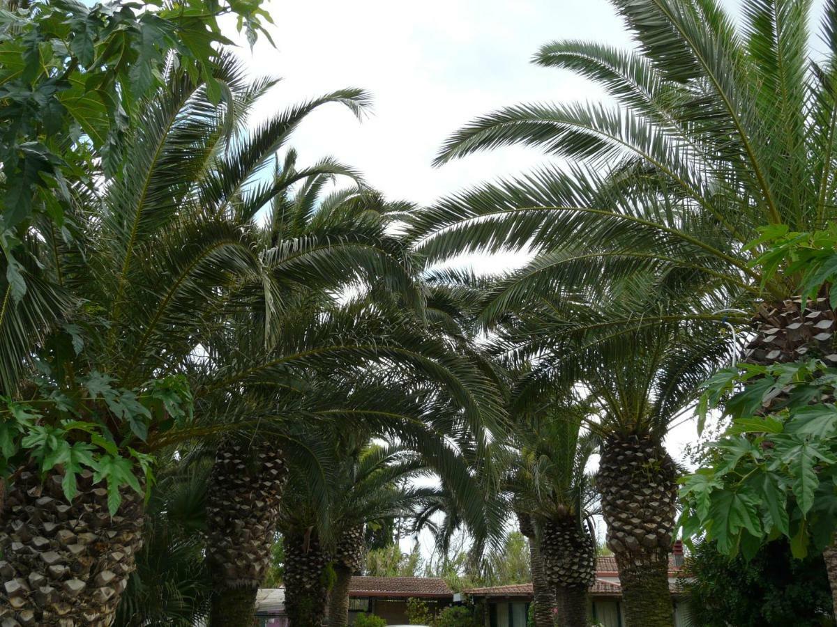 Villa Yucca 아볼라 외부 사진